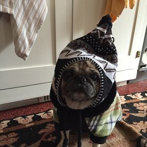 Meet your Posher, Torres